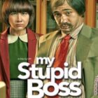 My Stupid Boss