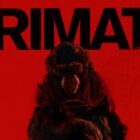 Film Primate