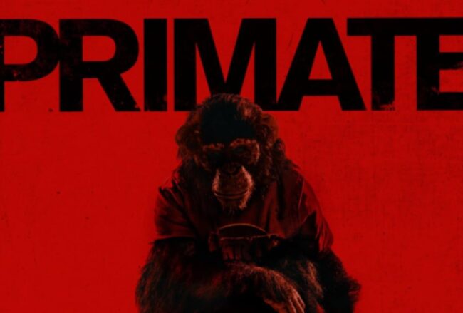 Film Primate