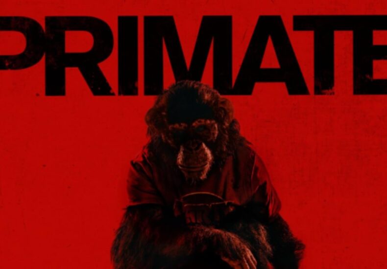 Film Primate
