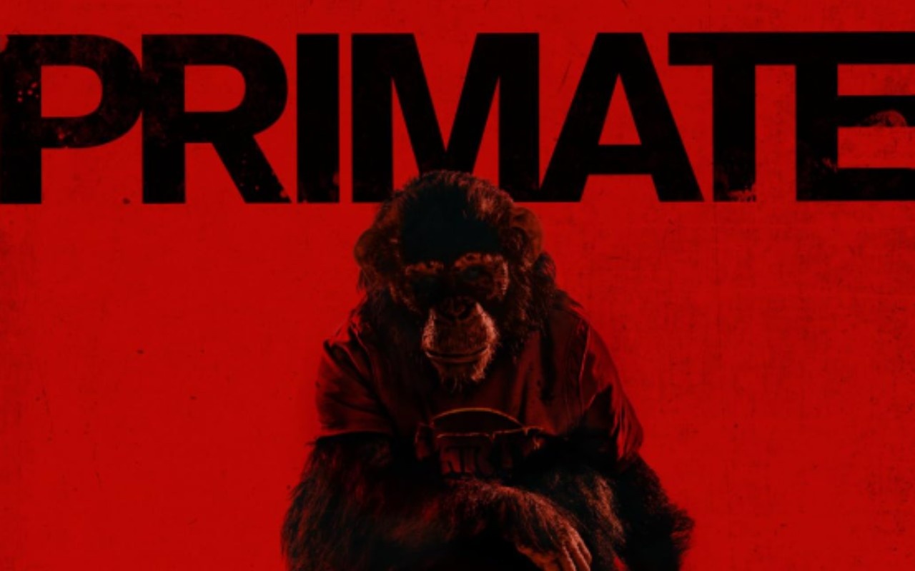 Film Primate